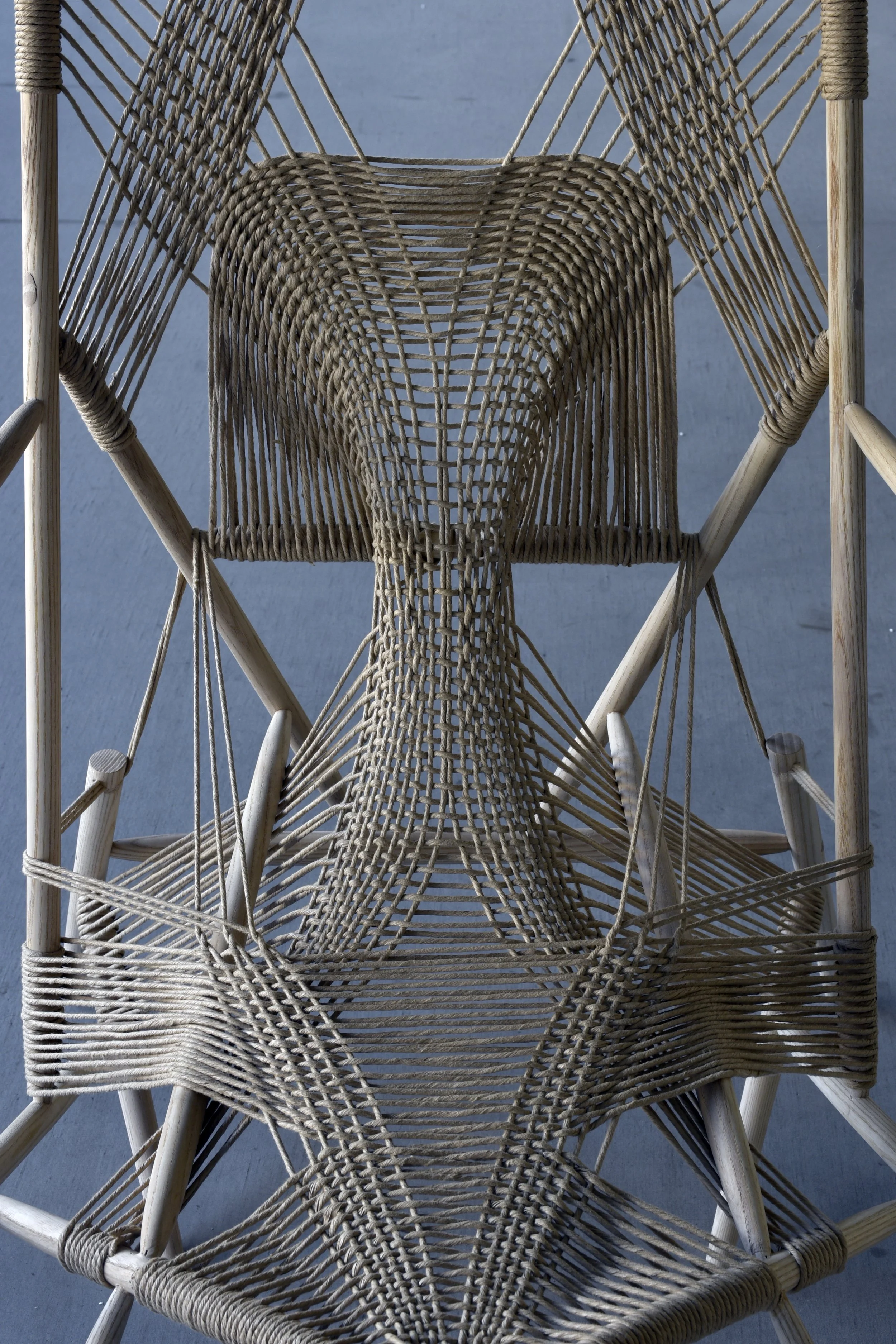 2025卒業制作「TRICERATOPS」by Tatsuya Shimamura — IDREIT